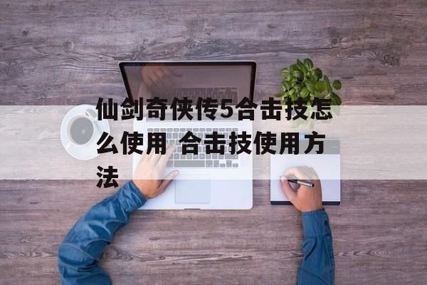 仙剑奇侠传5合击技怎么使用 合击技使用方法