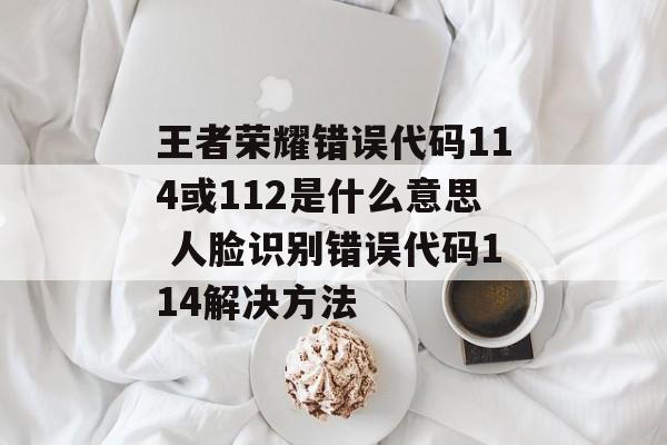 王者荣耀错误代码114或112是什么意思 人脸识别错误代码114解决方法