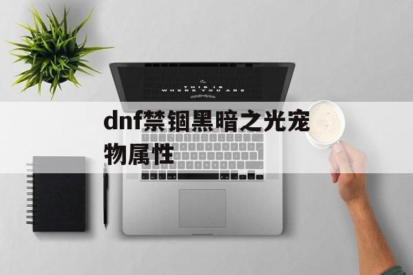 dnf禁锢黑暗之光宠物属性