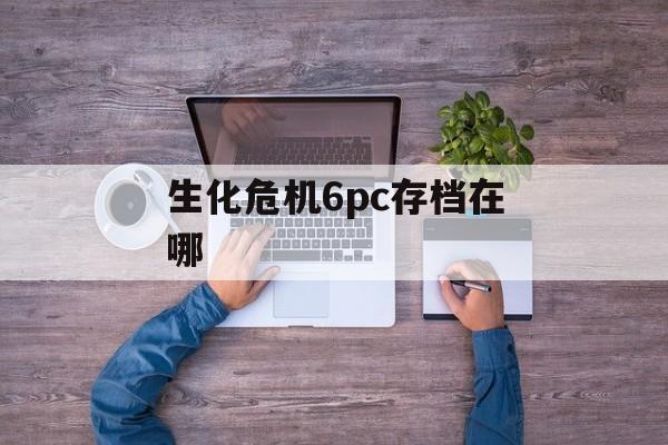 生化危机6pc存档在哪