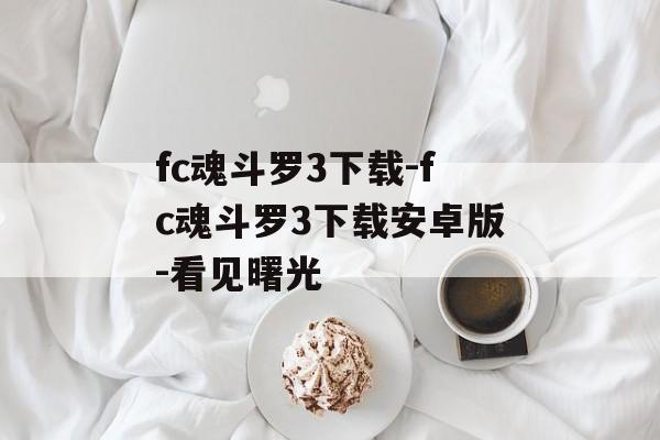 fc魂斗罗3下载-fc魂斗罗3下载安卓版-看见曙光