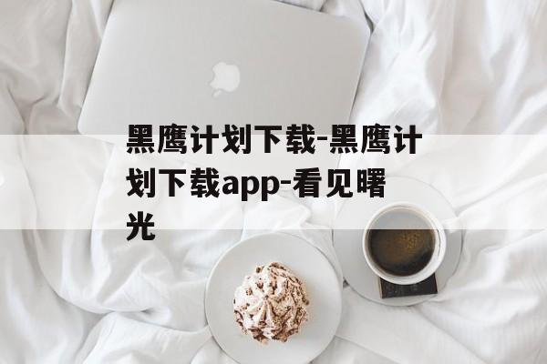 黑鹰计划下载-黑鹰计划下载app-看见曙光