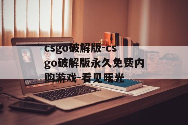 csgo破解版-csgo破解版永久免费内购游戏-看见曙光