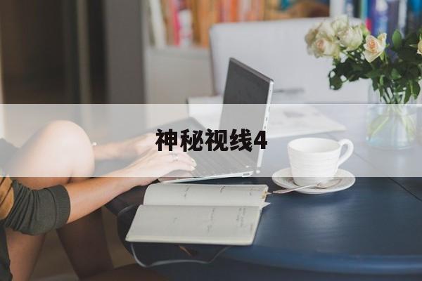 神秘视线4