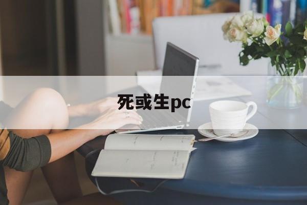 死或生pc