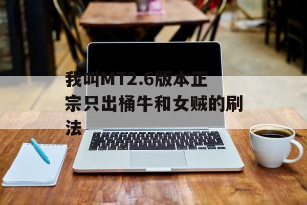 我叫MT2.6版本正宗只出桶牛和女贼的刷法