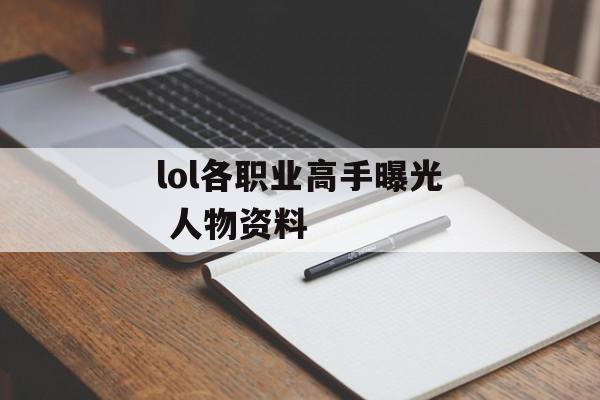 lol各职业高手曝光 人物资料