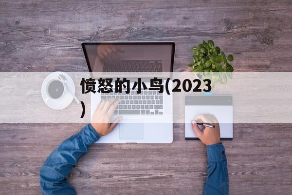 愤怒的小鸟(2023)