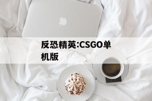 反恐精英:CSGO单机版