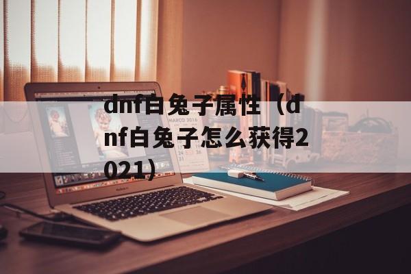 dnf白兔子属性（dnf白兔子怎么获得2021）