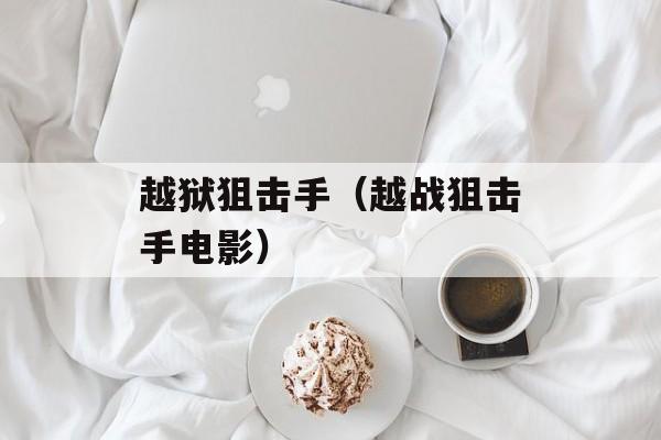 越狱狙击手（越战狙击手电影）