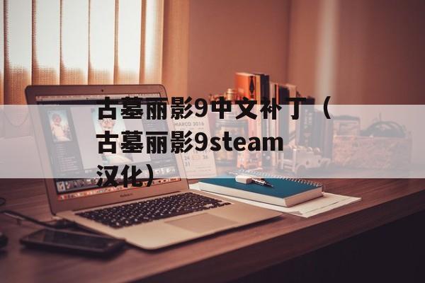 古墓丽影9中文补丁（古墓丽影9steam汉化）