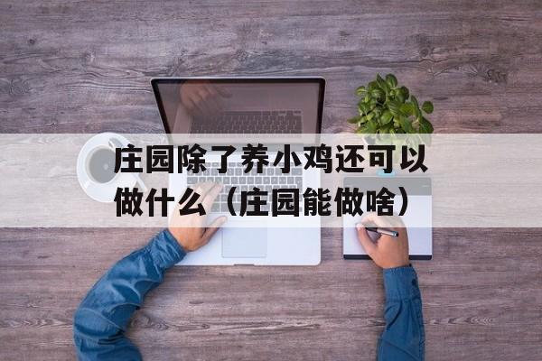 庄园除了养小鸡还可以做什么（庄园能做啥）