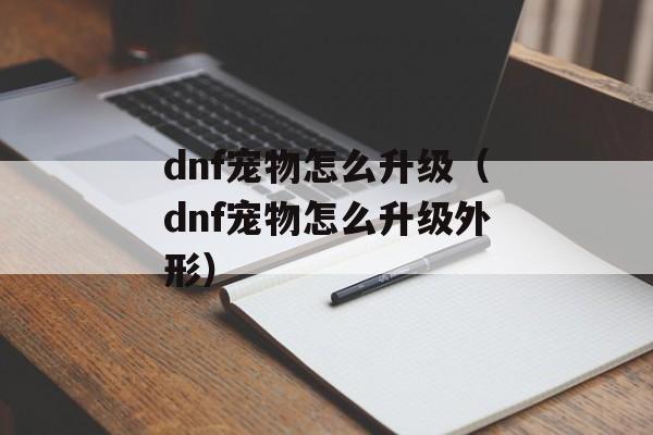 dnf宠物怎么升级（dnf宠物怎么升级外形）