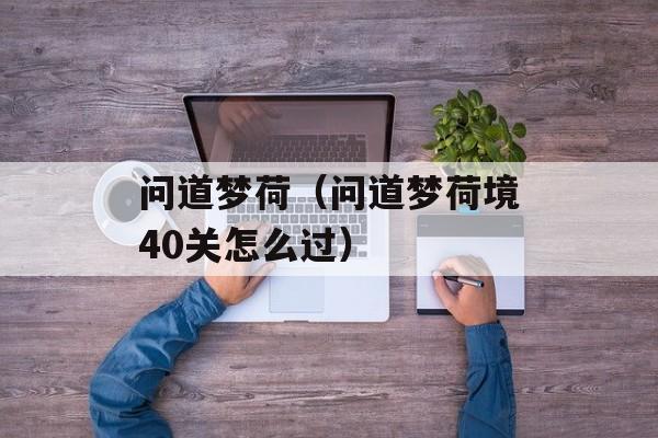 问道梦荷（问道梦荷境40关怎么过）