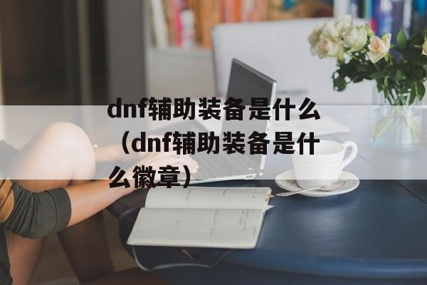 dnf辅助装备是什么（dnf辅助装备是什么徽章）
