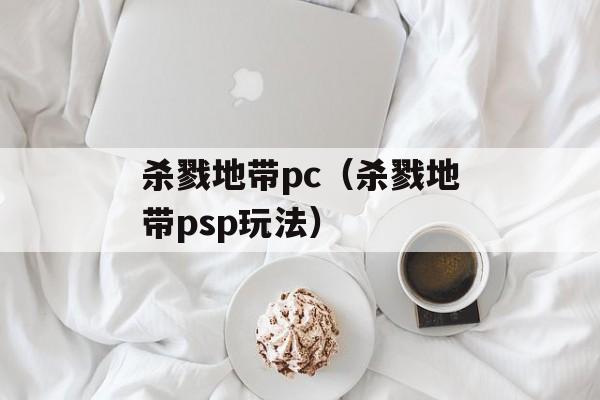 杀戮地带pc（杀戮地带psp玩法）