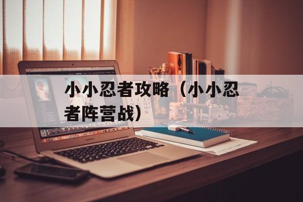 小小忍者攻略（小小忍者阵营战）