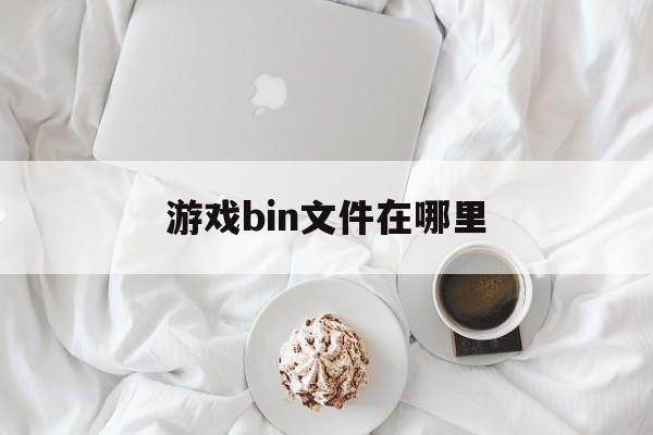 游戏bin文件在哪里