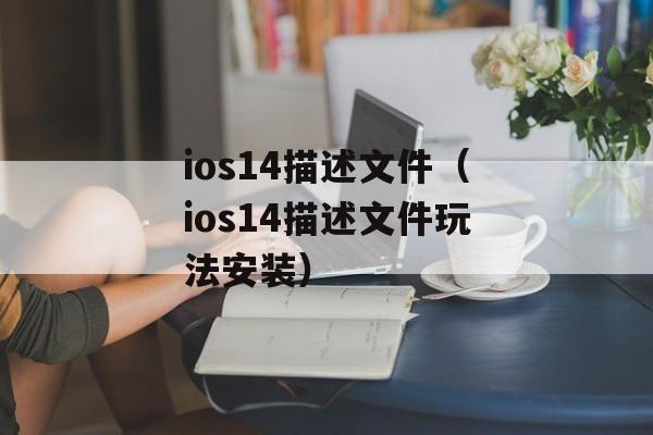 ios14描述文件（ios14描述文件玩法安装）