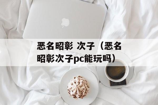 恶名昭彰 次子（恶名昭彰次子pc能玩吗）