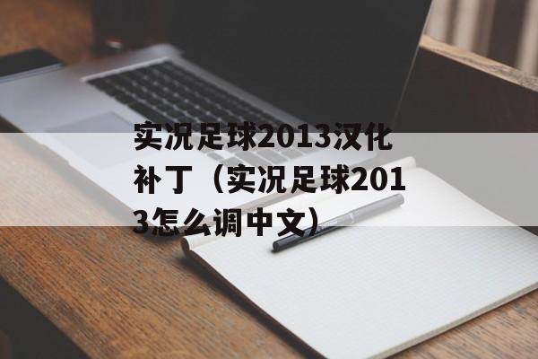 实况足球2013汉化补丁（实况足球2013怎么调中文）