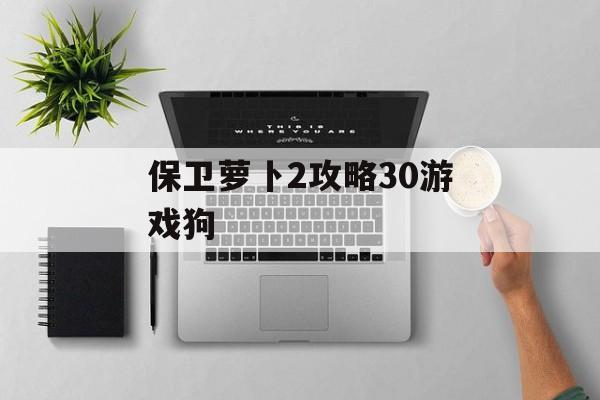保卫萝卜2攻略30游戏狗