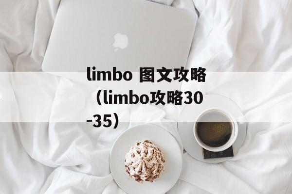 limbo 图文攻略（limbo攻略30-35）