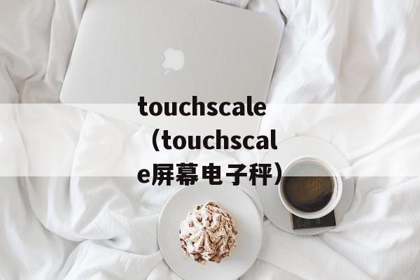 touchscale（touchscale屏幕电子秤）