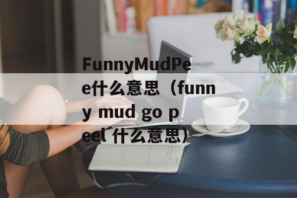 FunnyMudPee什么意思（funny mud go peel 什么意思）