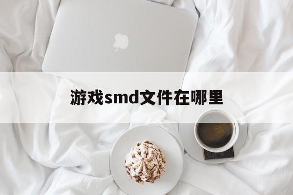 游戏smd文件在哪里