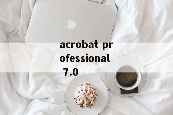 acrobat professional 7.0