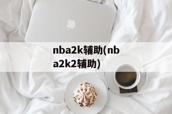 nba2k辅助(nba2k2辅助)