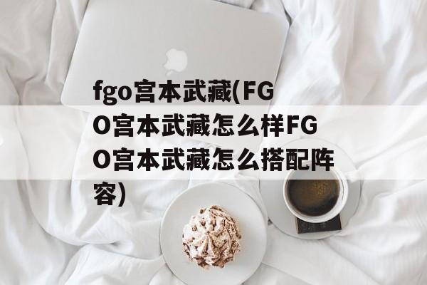 fgo宫本武藏(FGO宫本武藏怎么样FGO宫本武藏怎么搭配阵容)