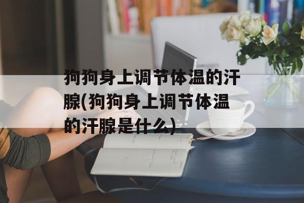 狗狗身上调节体温的汗腺(狗狗身上调节体温的汗腺是什么)