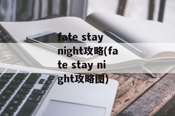 fate stay night攻略(fate stay night攻略图)