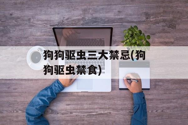 狗狗驱虫三大禁忌(狗狗驱虫禁食)