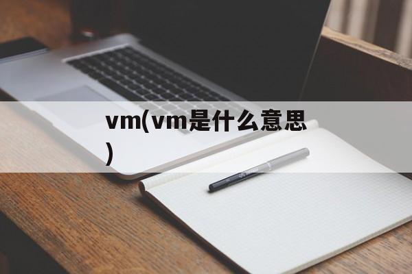 vm(vm是什么意思)