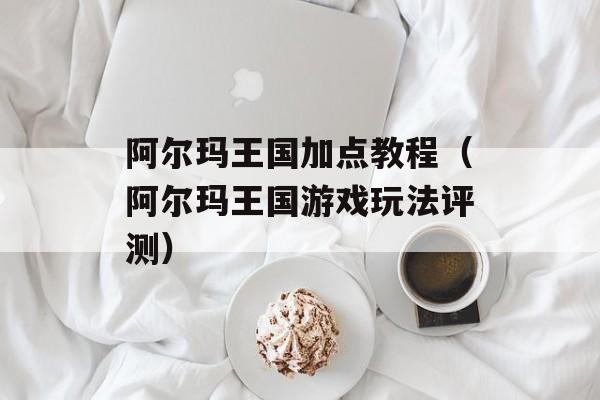 阿尔玛王国加点教程（阿尔玛王国游戏玩法评测）