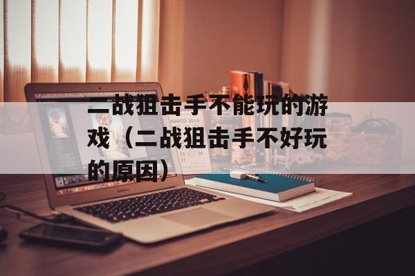 二战狙击手不能玩的游戏（二战狙击手不好玩的原因）