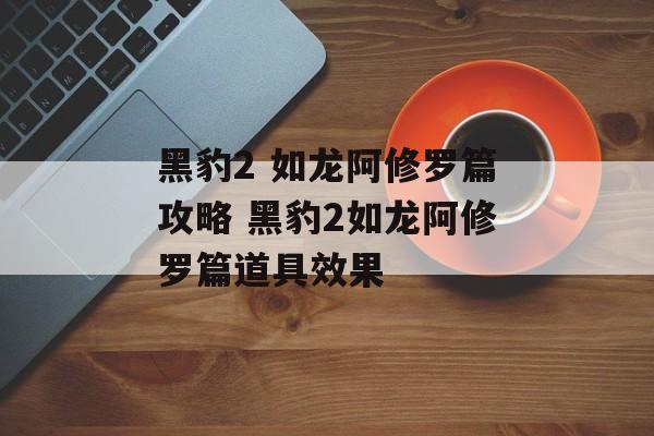 黑豹2 如龙阿修罗篇攻略 黑豹2如龙阿修罗篇道具效果