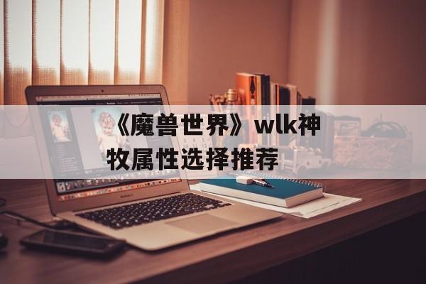 《魔兽世界》wlk神牧属性选择推荐