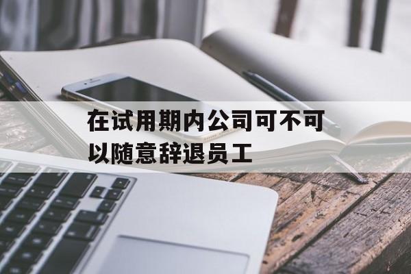 在试用期内公司可不可以随意辞退员工