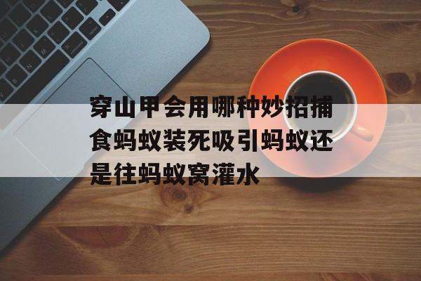 穿山甲会用哪种妙招捕食蚂蚁装死吸引蚂蚁还是往蚂蚁窝灌水