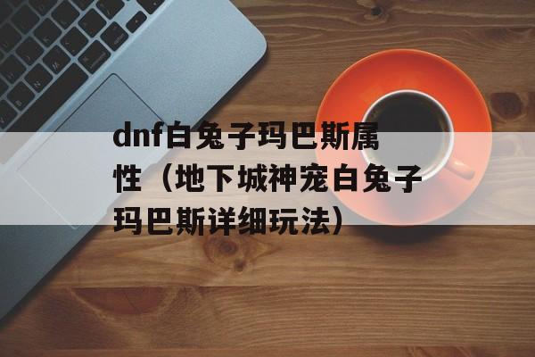 dnf白兔子玛巴斯属性（地下城神宠白兔子玛巴斯详细玩法）