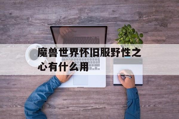 魔兽世界怀旧服野性之心有什么用