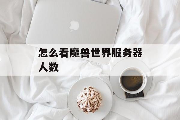 怎么看魔兽世界服务器人数