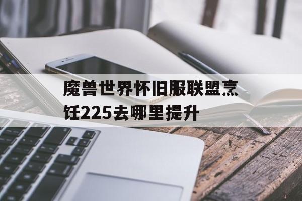 魔兽世界怀旧服联盟烹饪225去哪里提升
