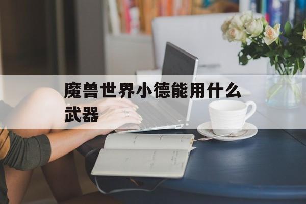 魔兽世界小德能用什么武器