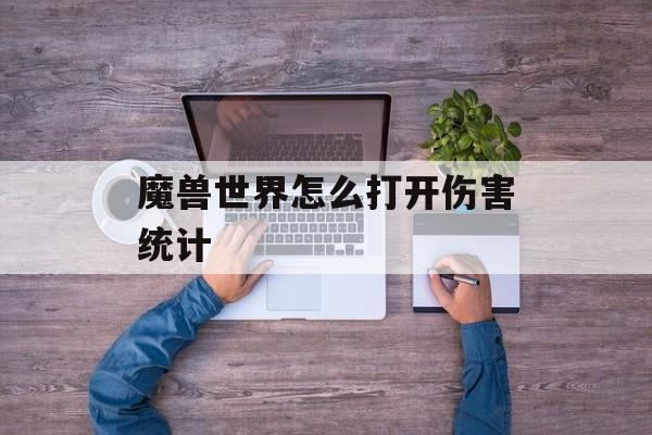 魔兽世界怎么打开伤害统计
